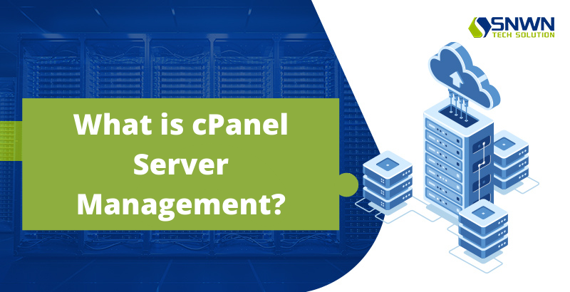 What is cPanel Server Management