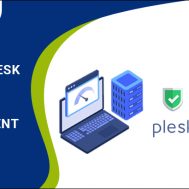 What is Plesk Server Management Services