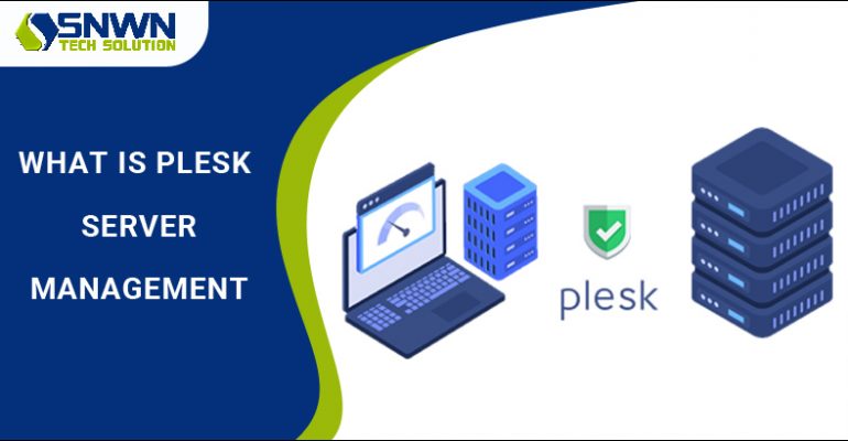 What is Plesk Server Management Services